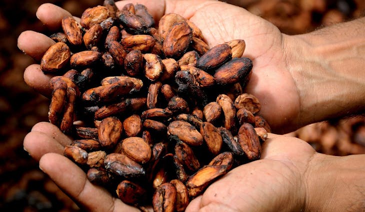 Cacaoceremonie: open je hart met dit eeuwenoude ritueel
