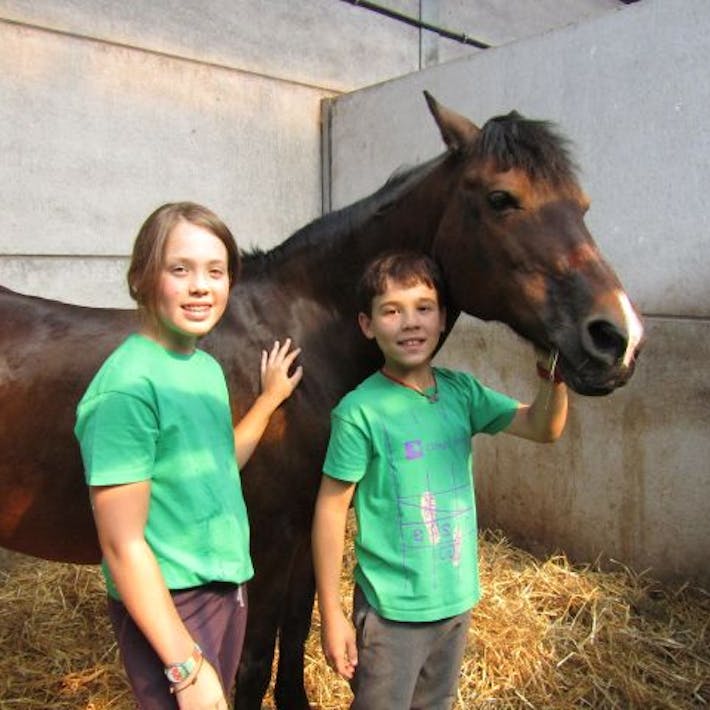 Activak jeugdvakanties – Paardrijden ... en français (10-14 jaar)