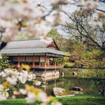 Wandeling met Gids in Japanse Tuin op feestdagen 2024