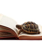 Slow reading - samen apart lezen-