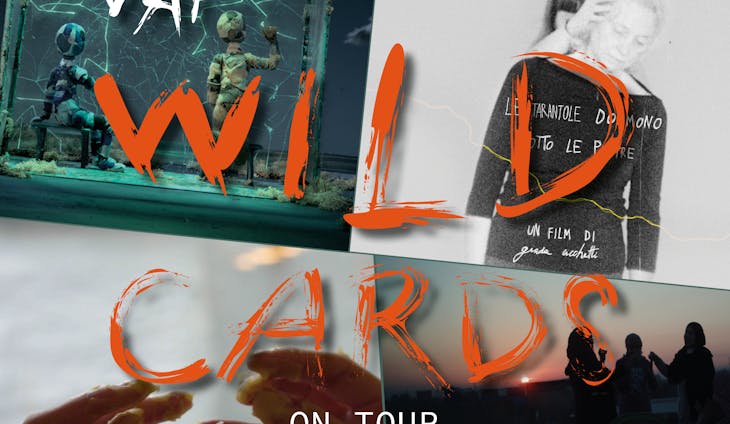 VAF Wildcards on Tour 2024