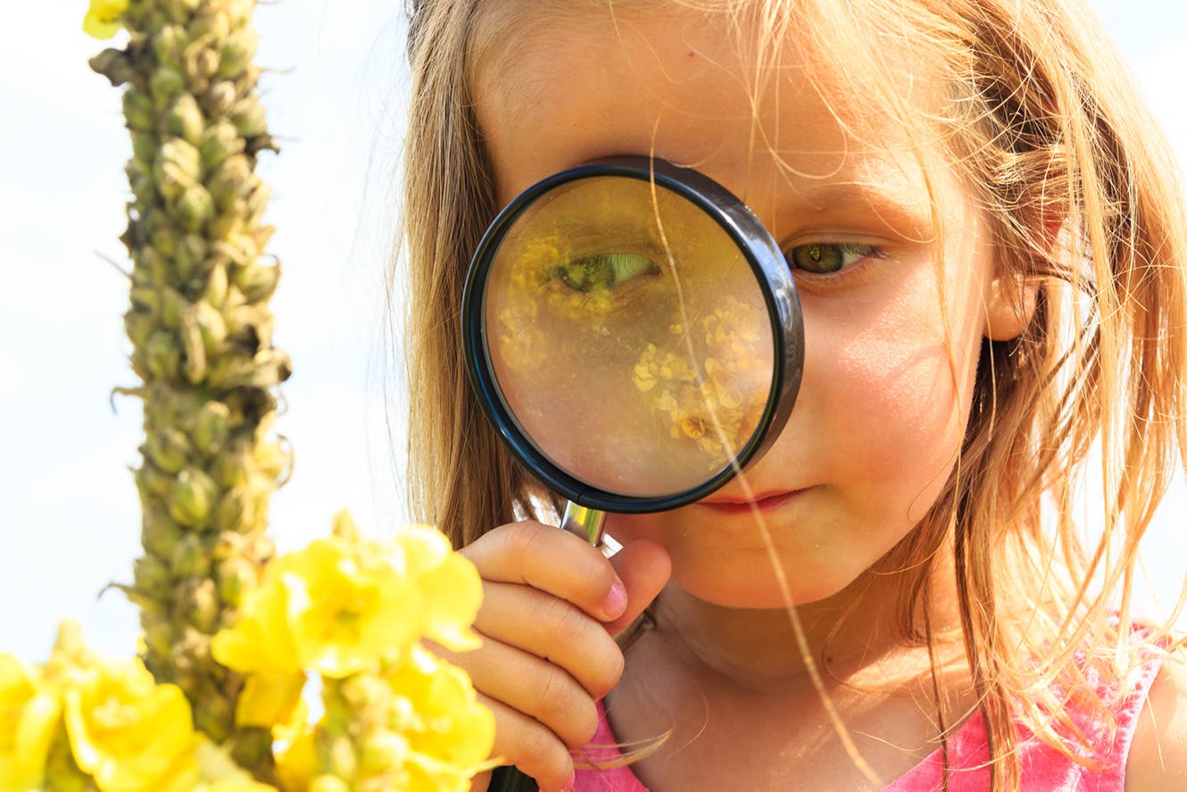 Meisje kijkt met vergrootglas naar een plant