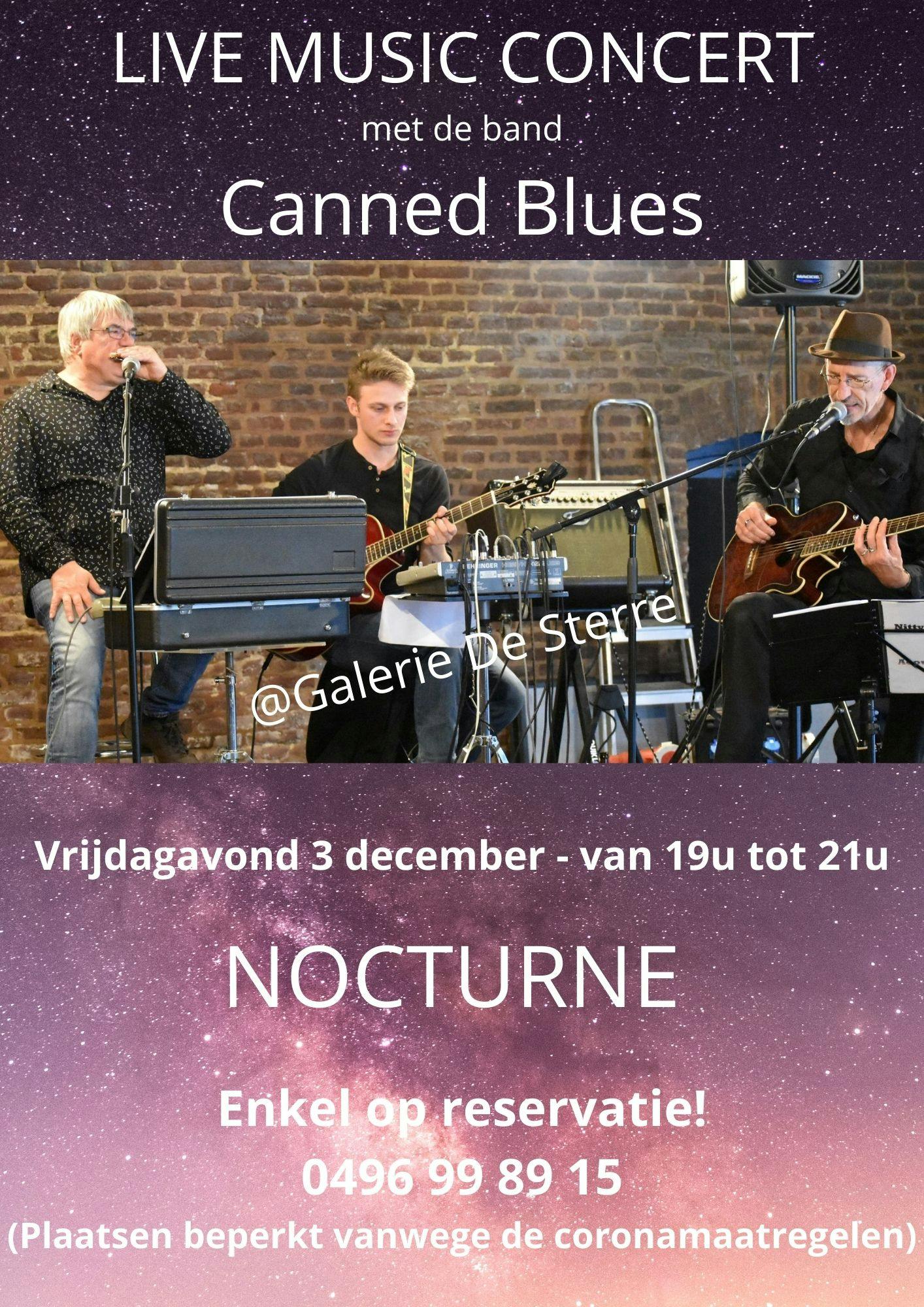 Live music concert met de band Canned Blues