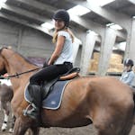 Sportkamp paardrijden - Bissegem