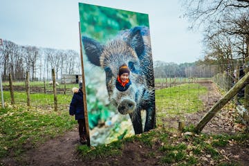 Kiewitsafari: een leuke dierenzoektocht op Domein Kiewit
