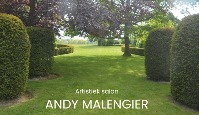 Artistiek Salon: Andy Malengier