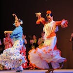 Voorstelling Flamenco dansen