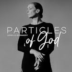 Isabelle Beernaert presenteert Particles of god