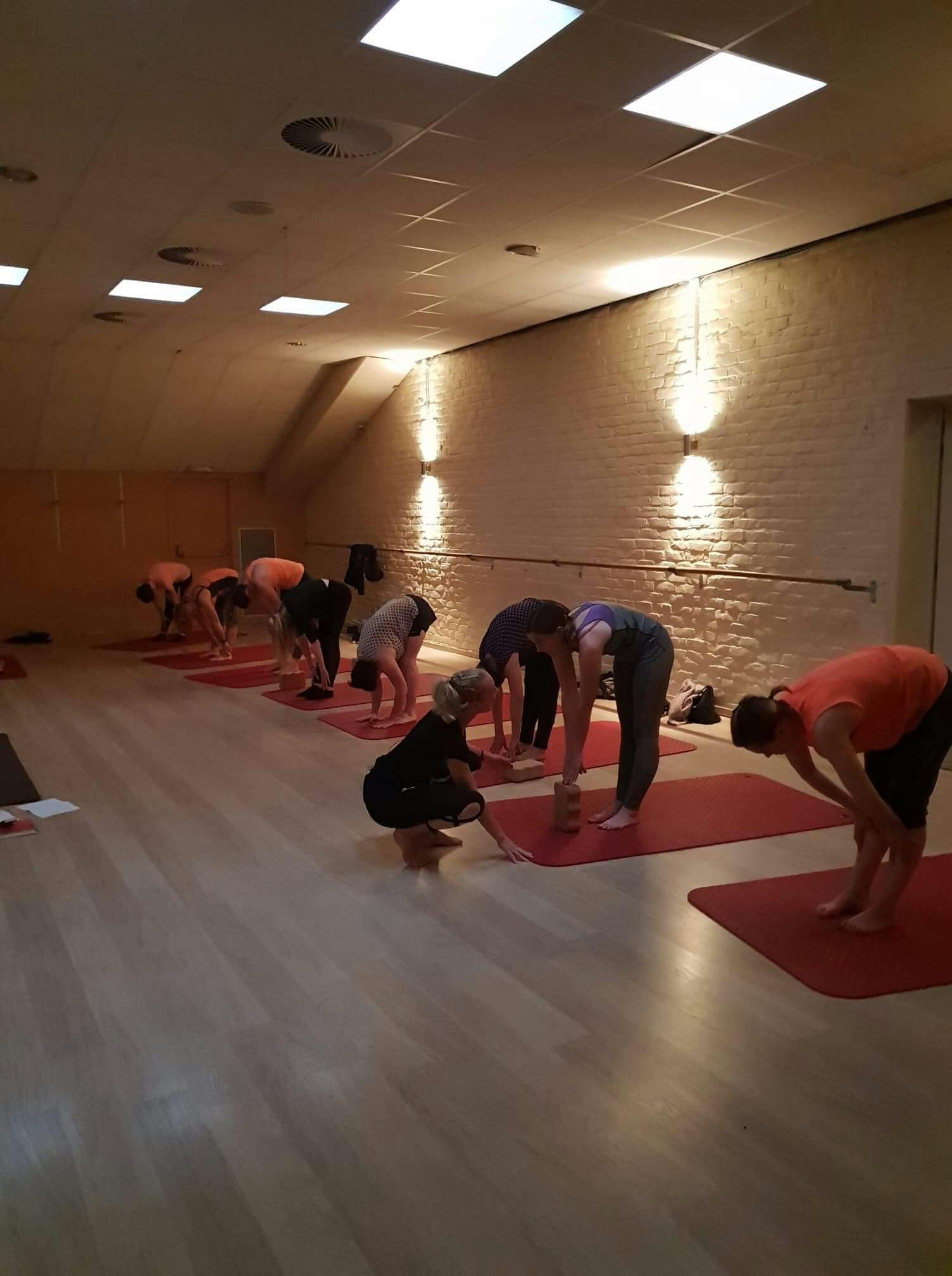 Lessenreeks van 5 yoga voor beginners volwassenen