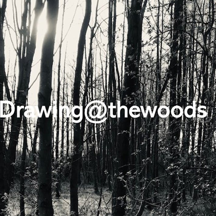 Drawing@thewoods