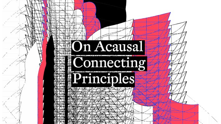 Heterotropics #4 On Acausal Connecting Principles