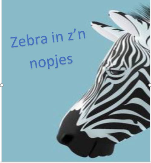 Zebra in z'n nopjes.