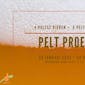 Bierproefavond 'Pelt Proeft 2.0' van JONGCD&V Pelt